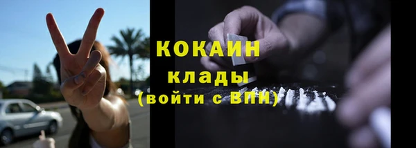 мет Ладушкин